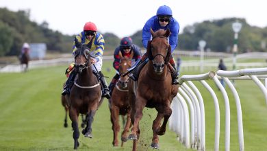 Photo of 競馬戦略-ライブ前の取引